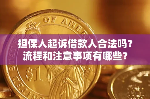 武汉担保人起诉借款人合法吗？流程和注意事项有哪些？