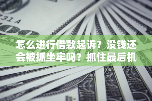 武汉怎么进行借款起诉？没钱还会被抓坐牢吗？抓住最后机会！