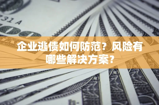武汉企业逃债如何防范？风险有哪些解决方案？