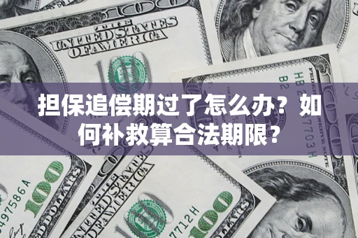 武汉担保追偿期过了怎么办？如何补救算合法期限？