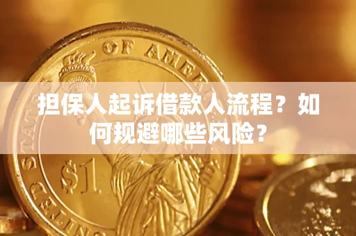 武汉担保人起诉借款人流程？如何规避哪些风险？
